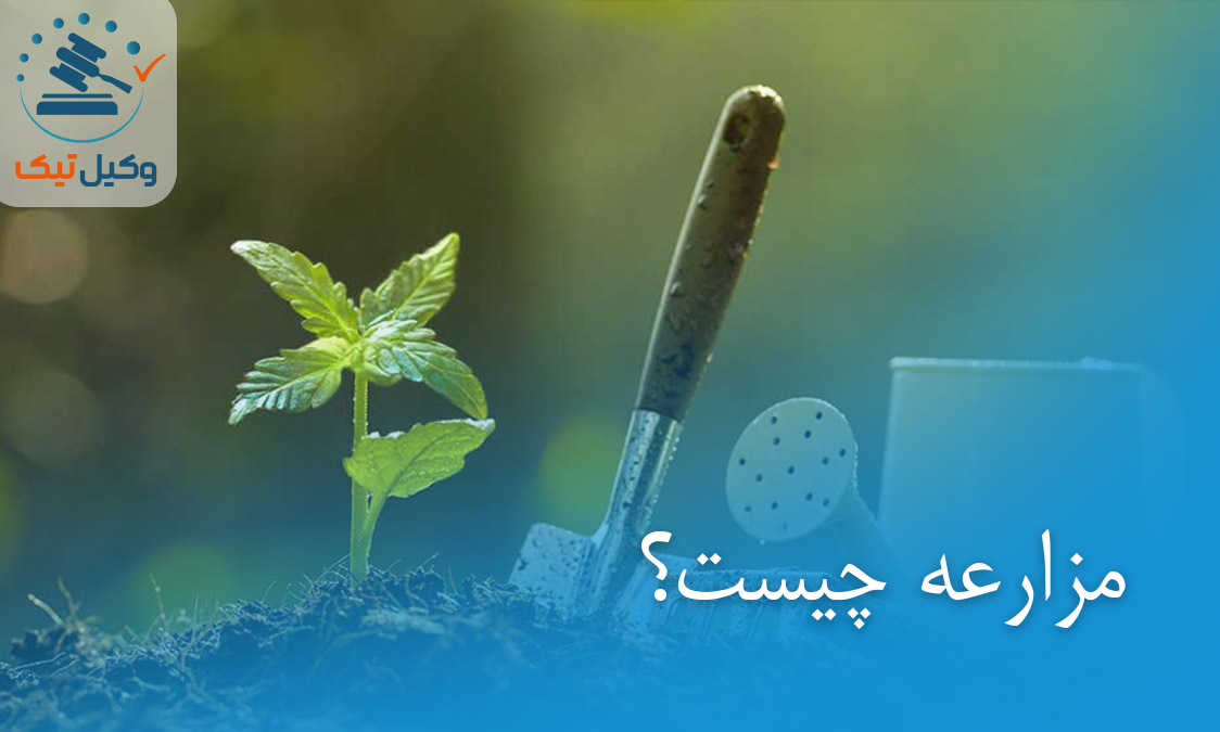 مزارعه عکس مزارعه عکس