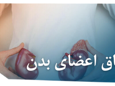 اعضای بدن 400x300 - بررسی جرم قاچاق اعضای بدن انسان