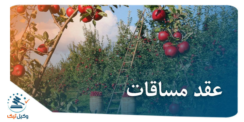مساقات