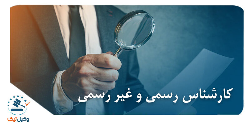 نظریه کارشناسی